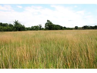 Property photo 42 - LAND AUCTION - 1,593+/- ACRES OFFERED IN 21 TRACTS IN OKMULGEE CO., OK